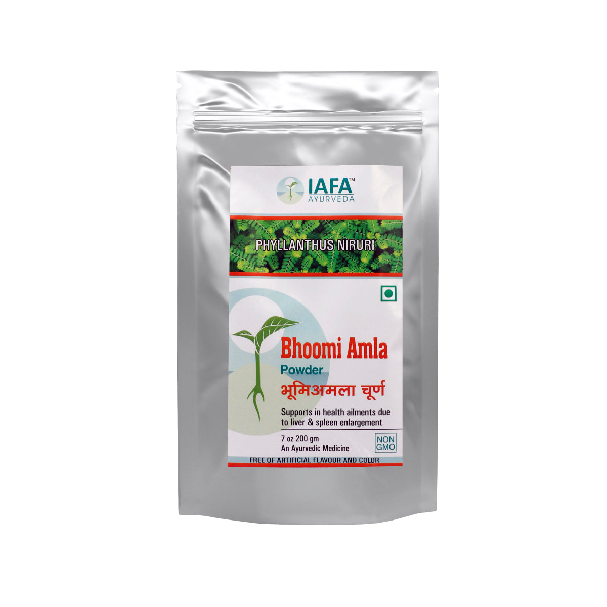 Bhoomi Amla Powder