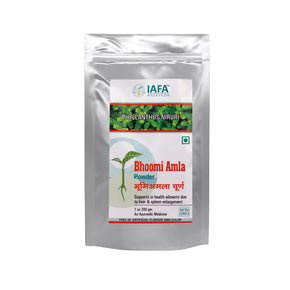 Bhoomi Amla Powder